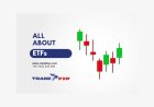 What are Exchange Traded Funds (ETFs)