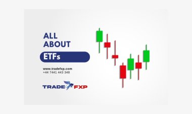 What are Exchange Traded Funds (ETFs)