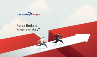 What are Forex Brokers?
