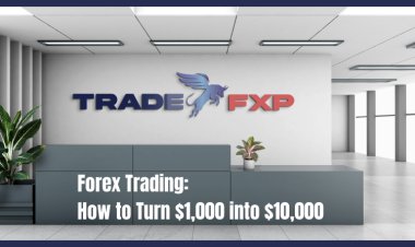 Forex Trading: How to Turn $1,000 into $10,000