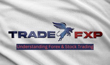 Understanding Forex & Stock Trading