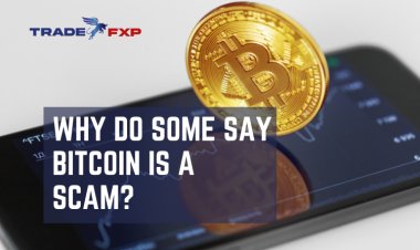 Why do some say bitcoin is a scam?