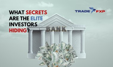 What secrets are the elite investors hiding?