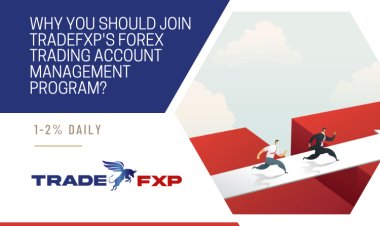 Why you should join TradeFxP Forex trading account management program?
