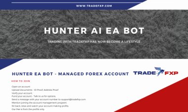 Why TradeFxP HUNTER Ai Auto Bot is best for trading Forex?