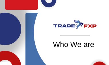 Why TradeFxP is the best forex broker in the world?