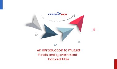 An introduction to mutual funds and government-backed ETFs