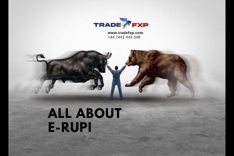 All about e-Rupi