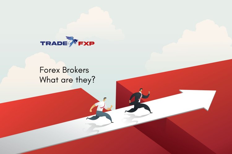What are Forex Brokers?