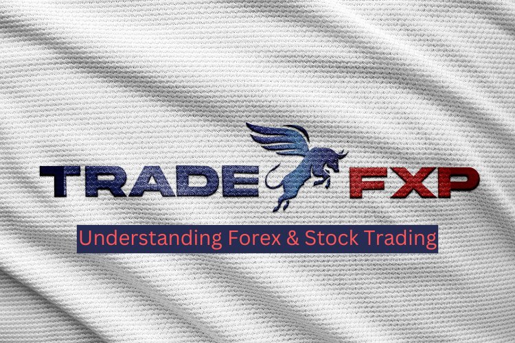 Understanding Forex & Stock Trading