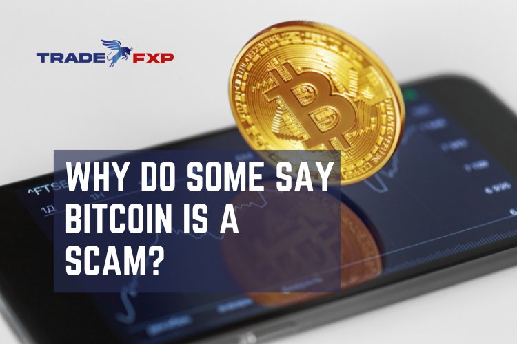 Why do some say bitcoin is a scam?