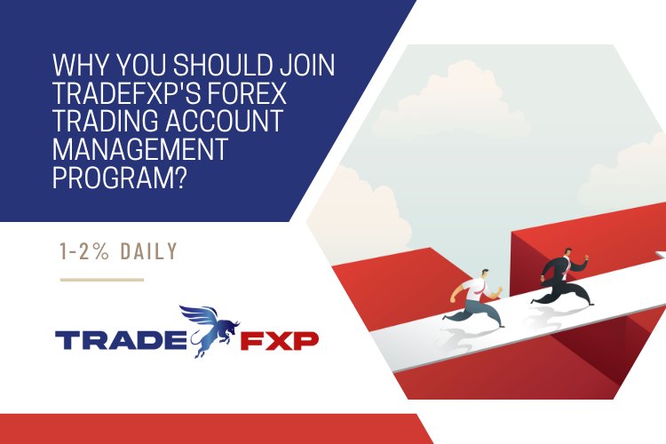 Why you should join TradeFxP Forex trading account management program?