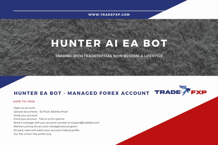 Why TradeFxP HUNTER Ai Auto Bot is best for trading Forex?