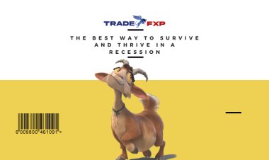 The Best Way to Survive and Thrive in a Recession