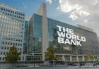 The world of the world bank