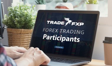 Forex Market Key Participants