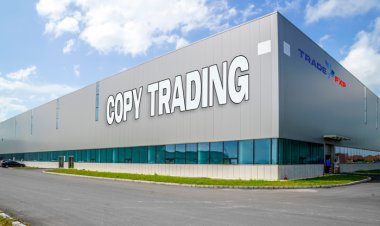 Don't know to trade? Still, you can make profits every day