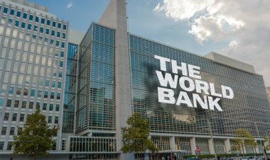 The world of the world bank
