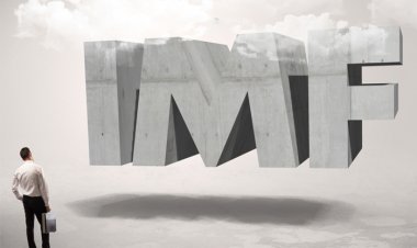 All about International Monitory Fund