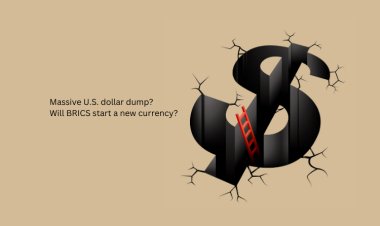 Massive US Dollar Dump: Potential BRICS Move towards a New Currency | TradeFXP Blog"