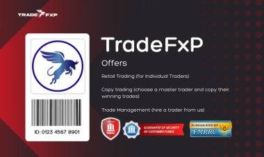 Discover What TradeFXP Can Offer You | Enhance Your Trading Experience