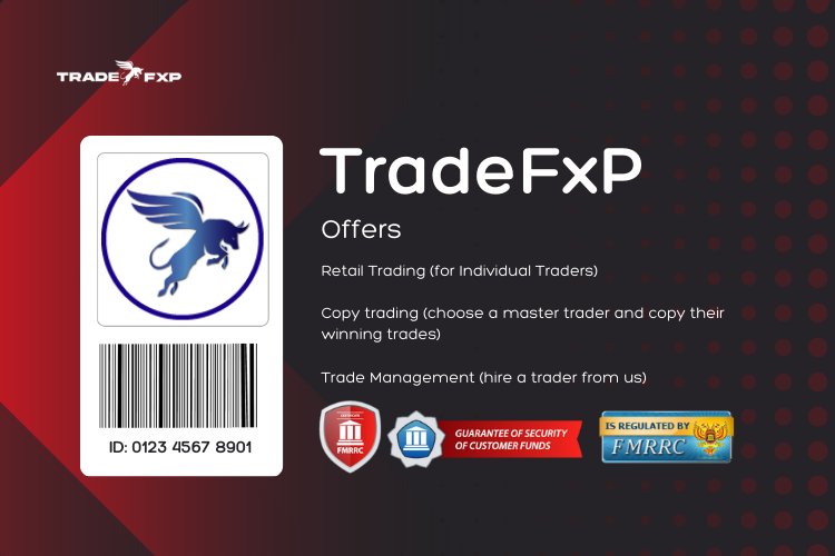 Discover What TradeFXP Can Offer You | Enhance Your Trading Experience