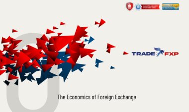 The Economics of Foreign Exchange Market