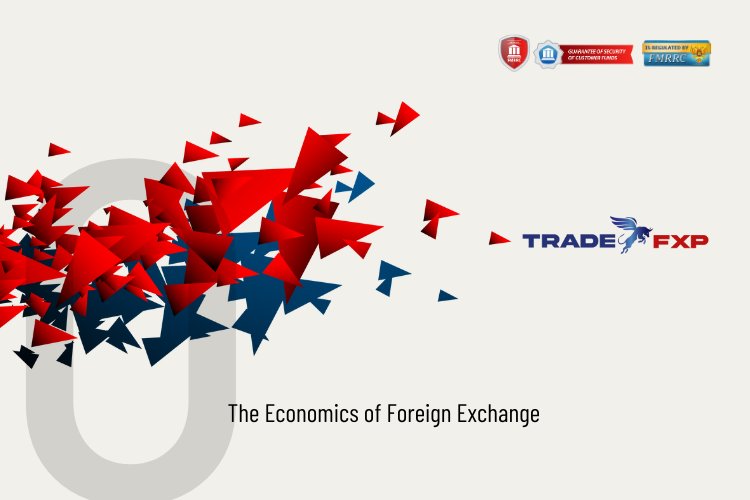 The Economics of Foreign Exchange Market
