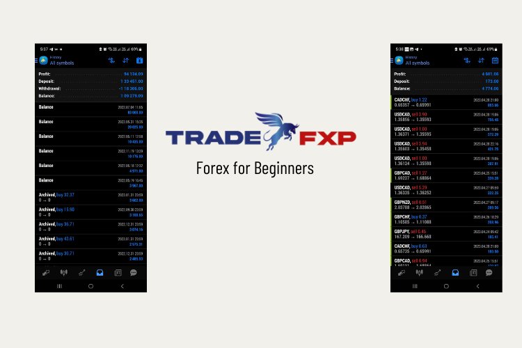 Mastering Forex for Beginners: Essential Tips and Strategies