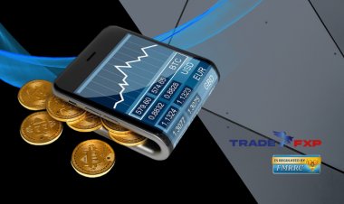 TradeFxP is your ticket to forex fun in the broker jungle!