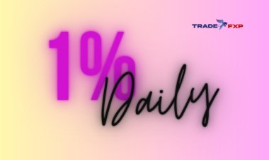 Are you a beginner hoping to make 1% profit per day on your forex trading account?