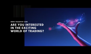 Are you interested in the exciting world of trading? 