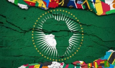 The ‘Leader of Global South’, African envoys praise PM Modi for inclusion of African Union in G20