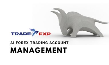 Expert Forex Account Management Services for Profitable Trading