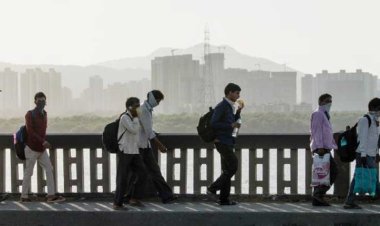 Unlocking the Secret to Income When There Is a Lockdown