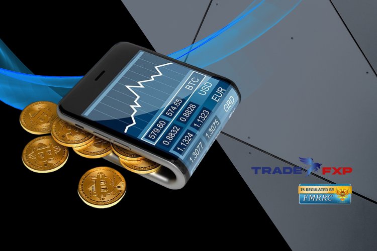 TradeFxP is your ticket to forex fun in the broker jungle!