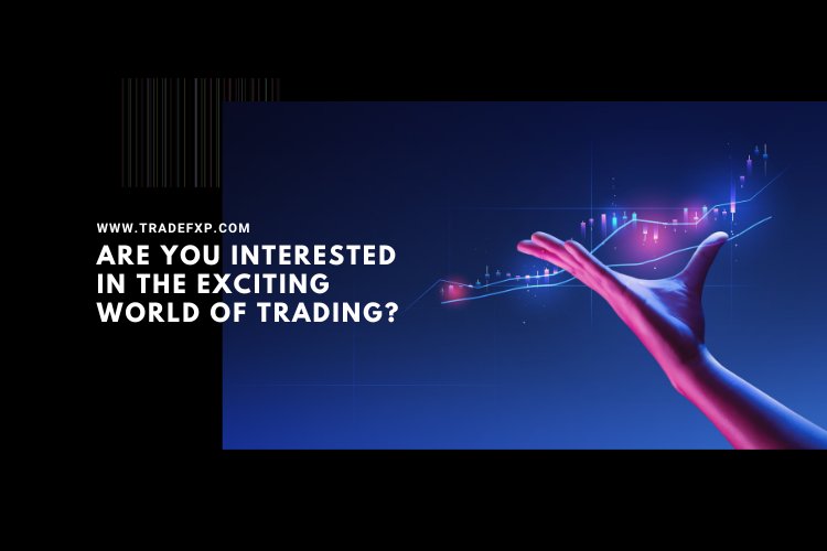Are you interested in the exciting world of trading? 