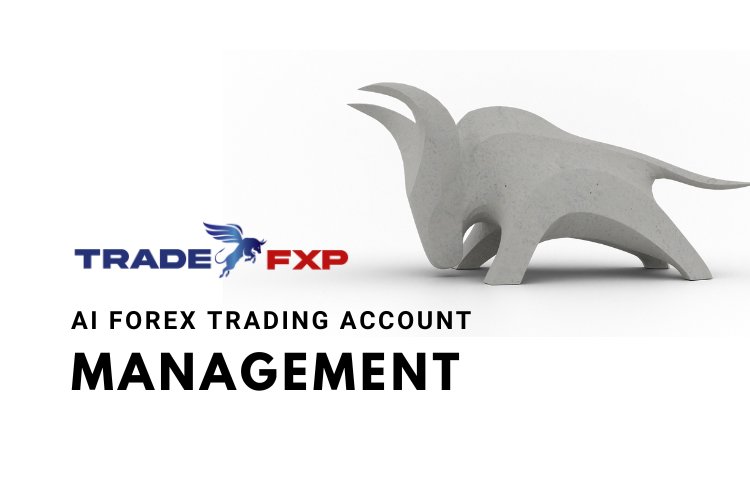 Expert Forex Account Management Services for Profitable Trading