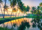Exploring Kerala: God's Own Country and Its Unique Features
