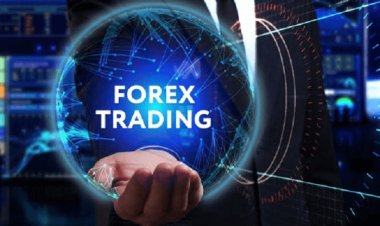How to Make Profits in Forex Trading Using Indicators and Expert Advisors