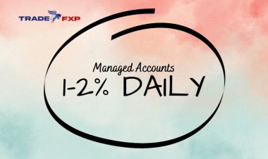 Why You Should Join the TradeFxP Managed Accounts Program to Earn 1-2% Daily Profits