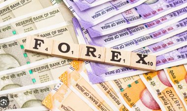 ट्रेडफ़्क्सपी के मैनेज़्ड खाता में शामिल हों और प्रतिदिन लाभ कमाएं