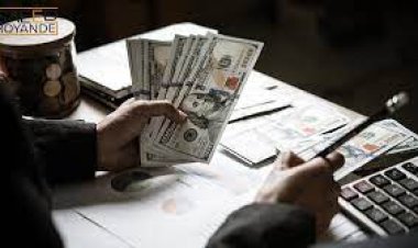 Master your financial investments with our expert tips.