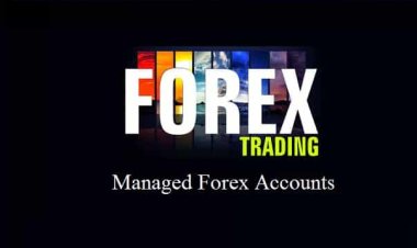 Maximise Profits with Managed and AI Robot Forex Trading Accounts at TradeFxP