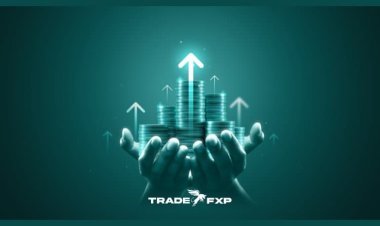 Why TradeFxP is the Best Forex Broker