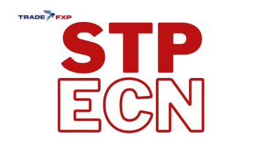 Why TradeFxP is the Best Forex Broker Available Today