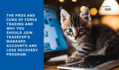 The pros and cons of forex trading and why you should join TradeFxP's managed accounts and loss recovery program.