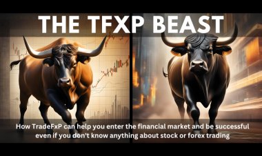 How TradeFxP can help you enter the financial market and be successful even if you don't know anything about stock or forex trading