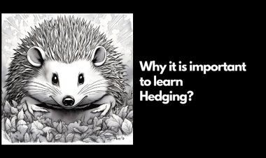 Introduction to Hedgehog (hedging) Investing