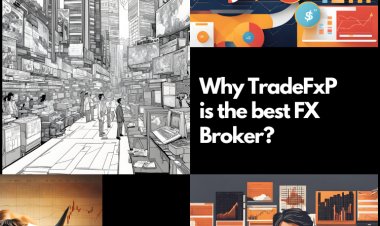Why You Should Learn Day Trading These Days with TradeFxP